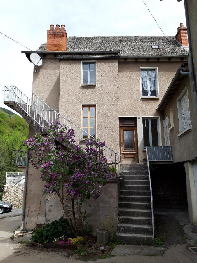 Gite De Truyere Villa Entraygues-sur-Truyere Exterior photo