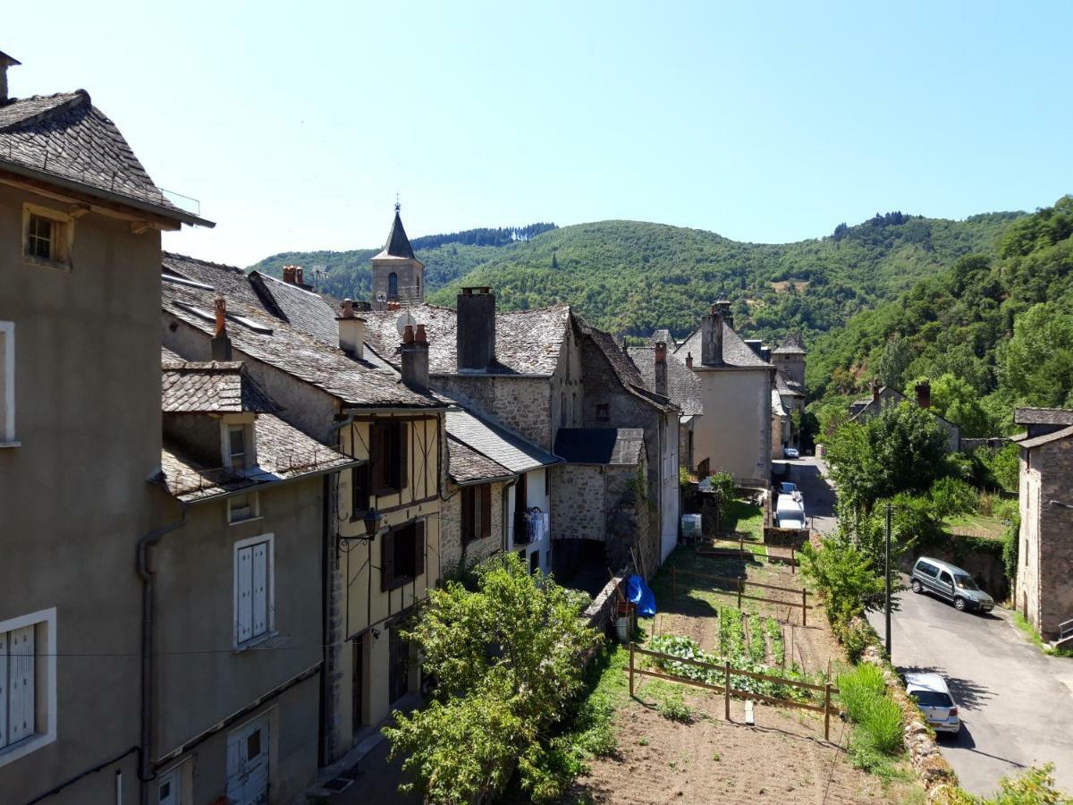 Gite De Truyere Villa Entraygues-sur-Truyere Exterior photo