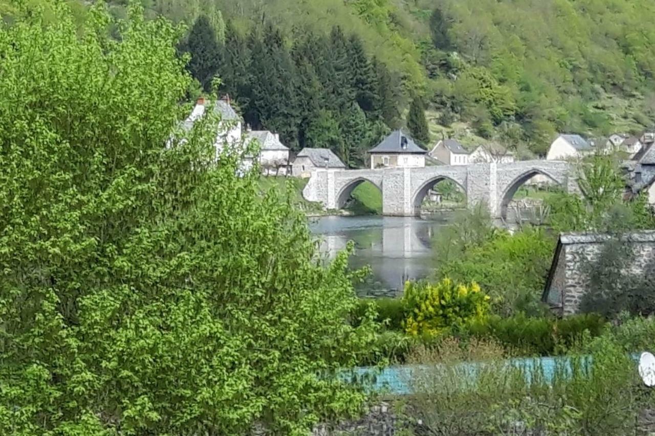 Gite De Truyere Villa Entraygues-sur-Truyere Exterior photo